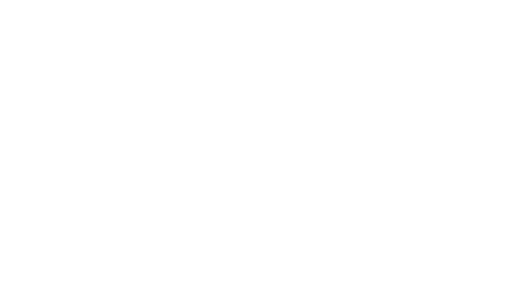 Siesta Key Summer House
